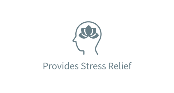 Provides Stress Relief graphic with head and lotus flower | Mind Boost Books - Boost Brain Power with Puzzle Books & Journals